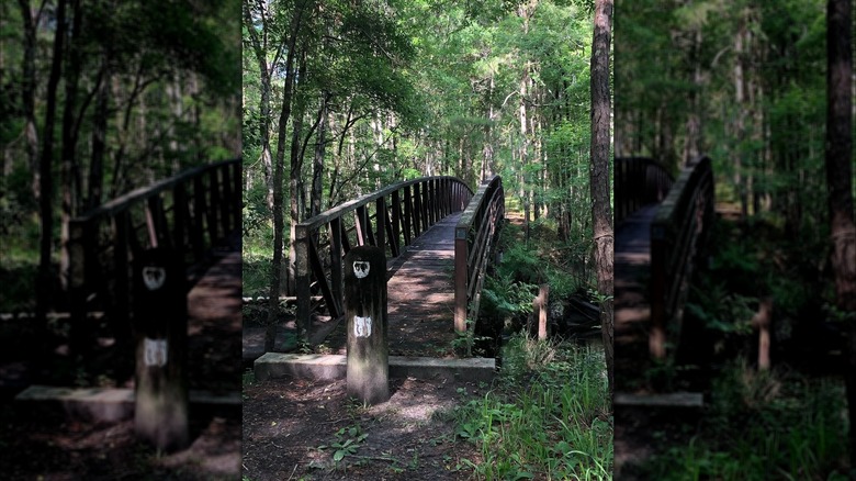 Stonework remains of the 1823 Landsford canal and locks in South Carolina