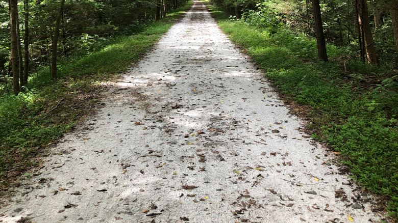 Path along the Peak to Prosperity Passage of the Palmetto Trail