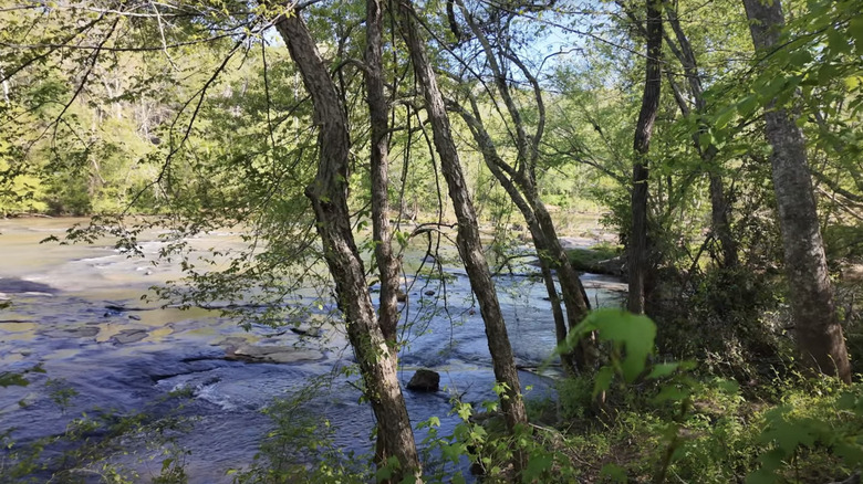 River in Musgrove Mill State Historic Site
