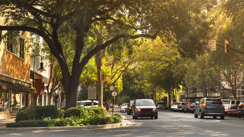 A charming tree lined Main Street in Columbia, South Carolina