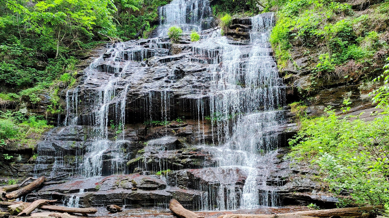 Station Cove Falls trail at the Oconee Station State Historic Site