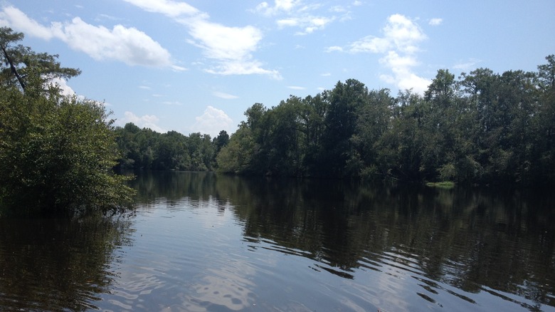 The Pee Dee River in South Carolina