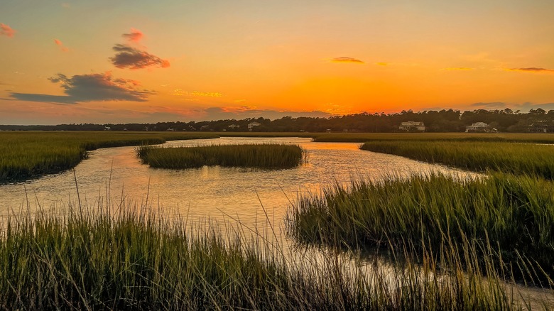 salt marshes in Pawleys Island on the Hammock Coast of South Carolina