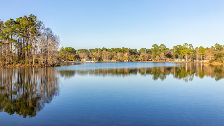 Eutawville, South Carolina view of Lake Marion