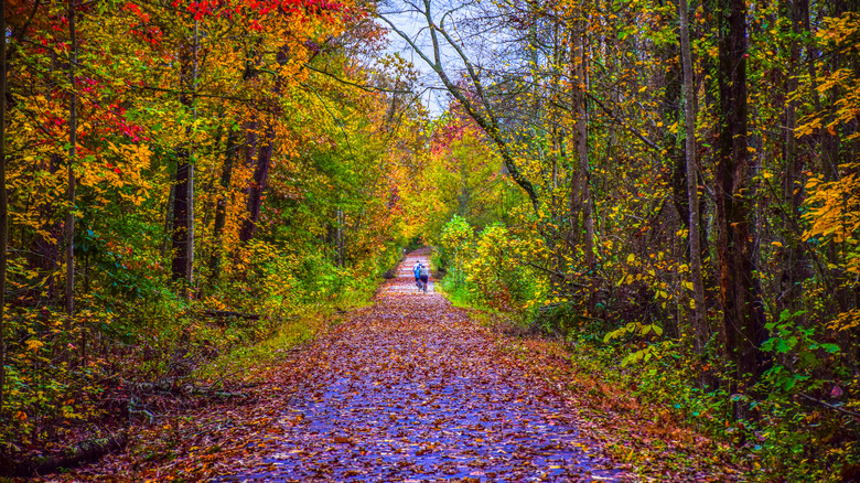 Swamp Rabbit Trail during autumn in Greenville