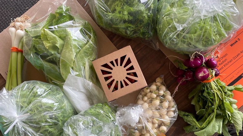 Fresh produce from Farm in the Wildwood