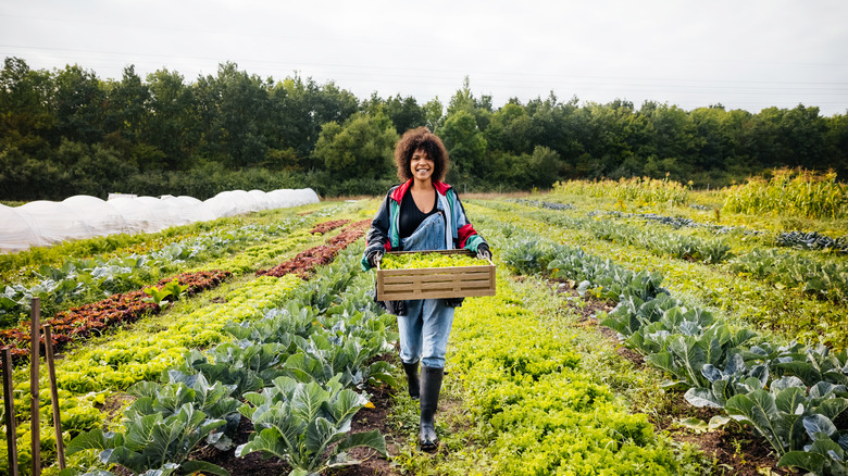 Farm to table experience in South Carolina