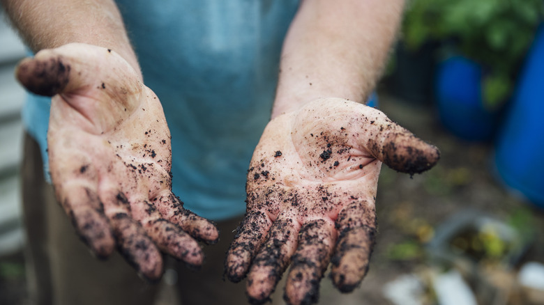 Dirty hands after gardening