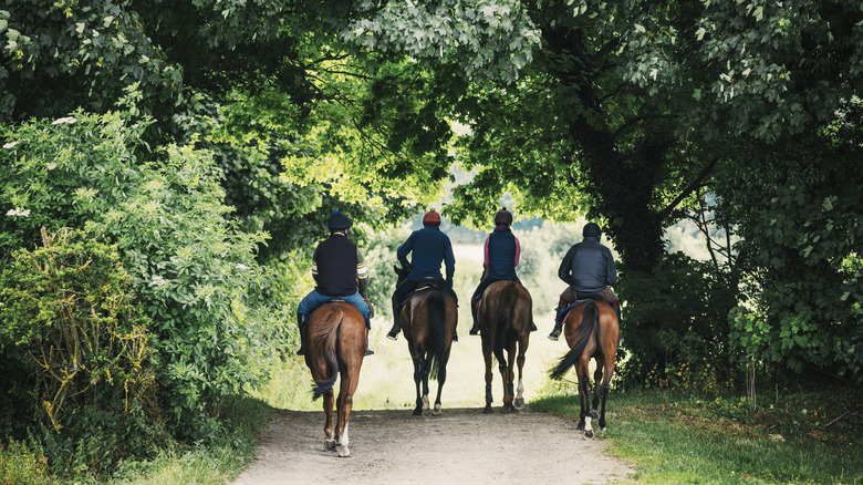 Horseback riders exploring Hitchcock Woods