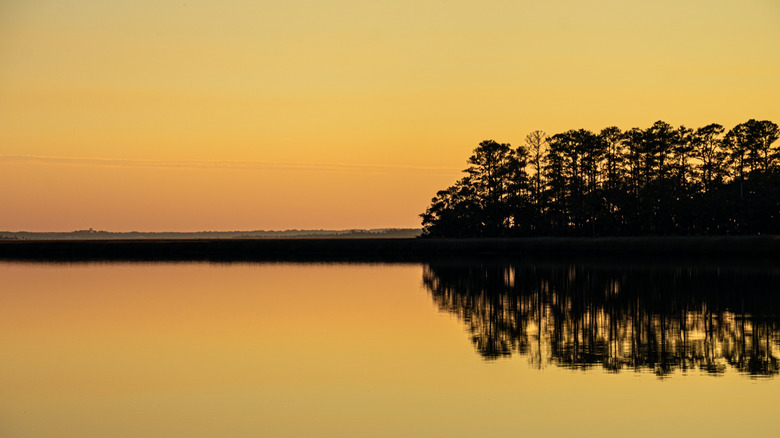 Sunset in ACE Basin
