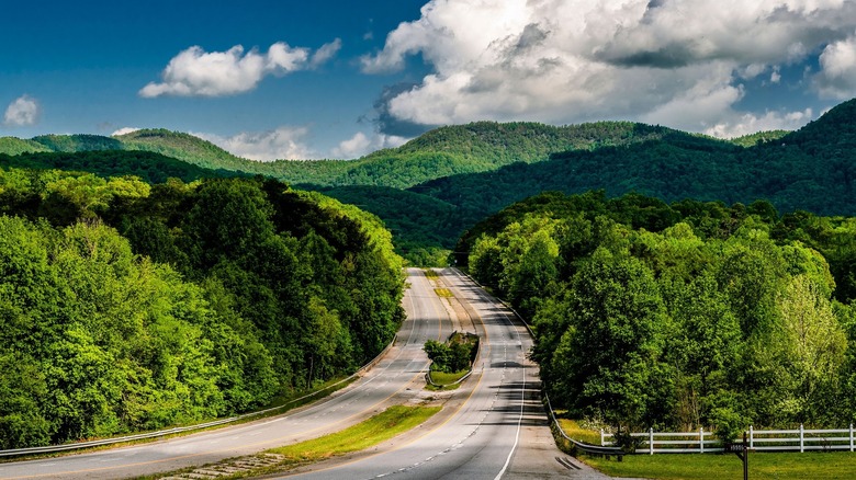 Photo of rural South Carolina