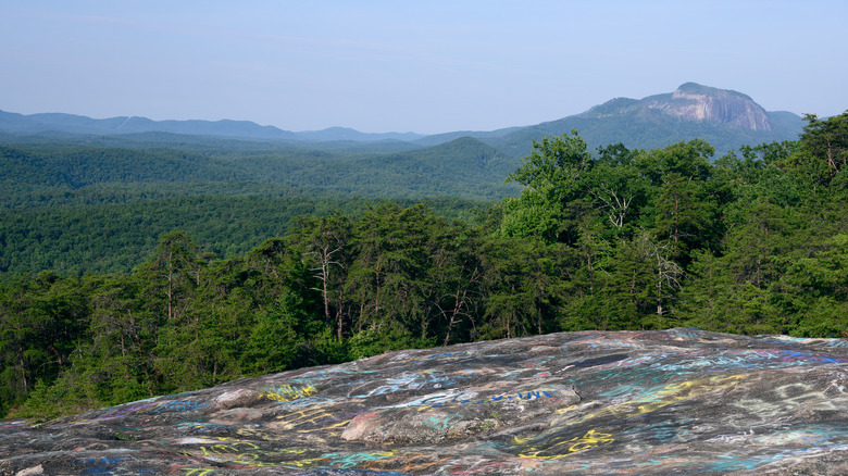 From the vantage point of Bald Rock, a mesmerizing view unfolds, showcasing the grandeur of Table Rock in South Carolina.