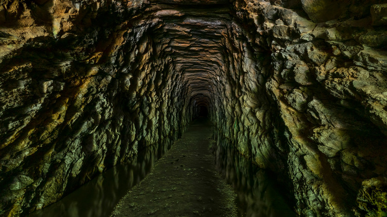 Entrance to the abandoned Stumphouse Mountain Tunnel