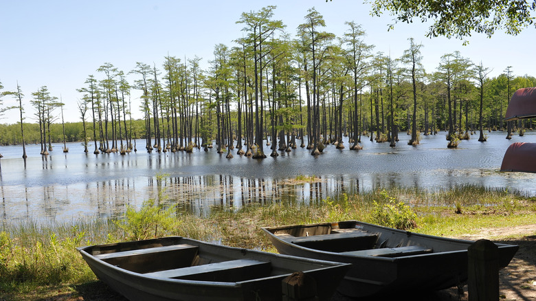 Jon Boat Rentals At Goodale State Park, South Carolina