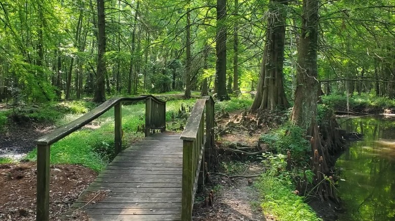 A bridge at Jeffries Creek Park in Florence, South Carolina