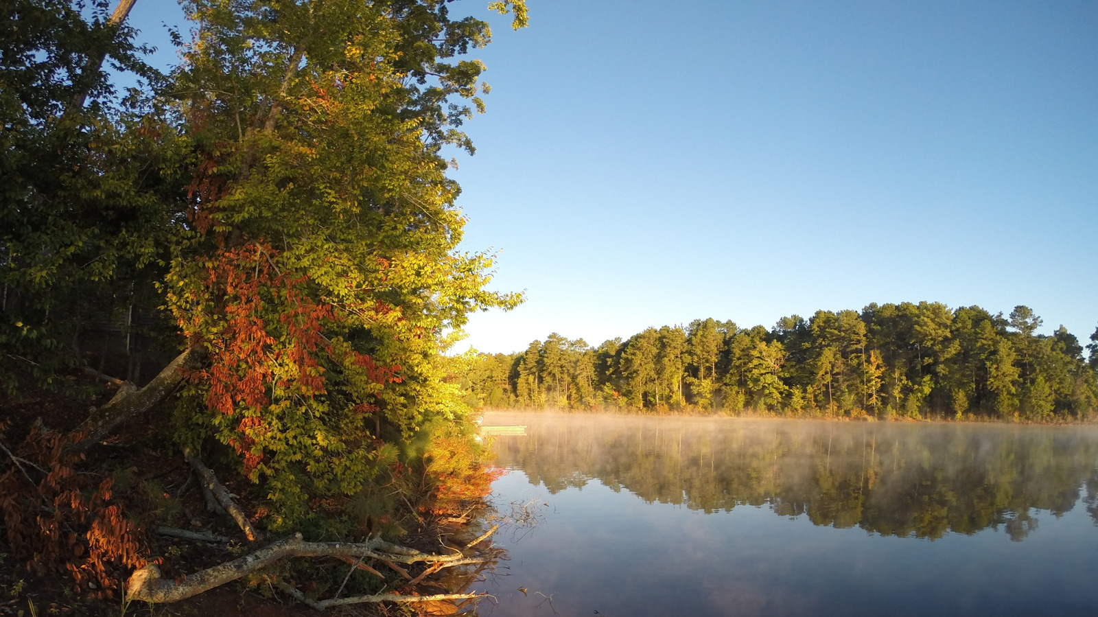 South Carolina’s Underrated Lakeside State Park Has A Coveted Campground Nestled In Pristine Nature – Islands South Carolina’s Underrated Lakeside State Park Has A Coveted Campground Nestled In Pristine Nature – Islands
