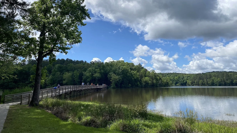 views of the wooden bridge at the Chester State Park lake in South Carolina