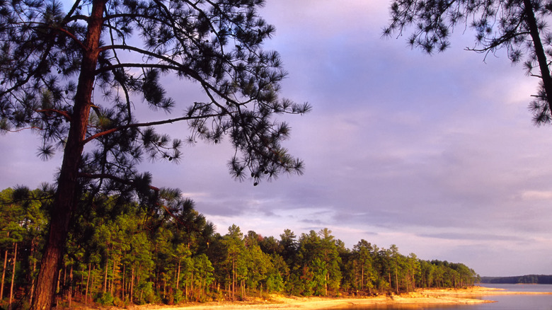Lake Thurmond in South Carolina