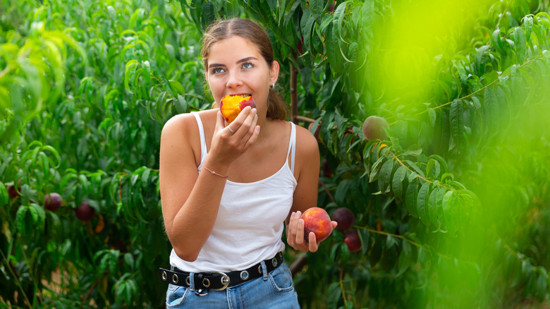 Traveler biting into fresh peach