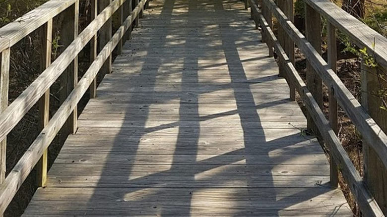 View of a boardwalk over a section of Lake Murray in Dreher Island State Park