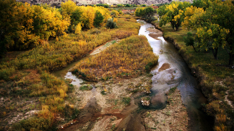 River running through South Dakota's Black Hills Forest during fall