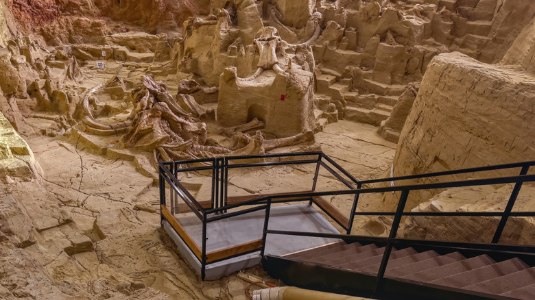 The mammoth pit in Hot Springs, South Dakota