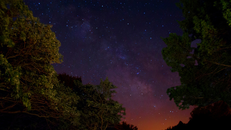 night sky at Newton Hills State Park in South Dakota