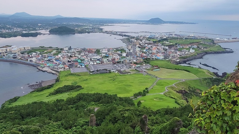 An aerial view of Seogwipo surrounded by trees and the ocean.