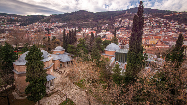 Aerial shot of Muradiye Complex
