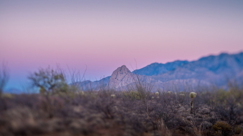 View of Elephant Head in the evening near Amado Arizona