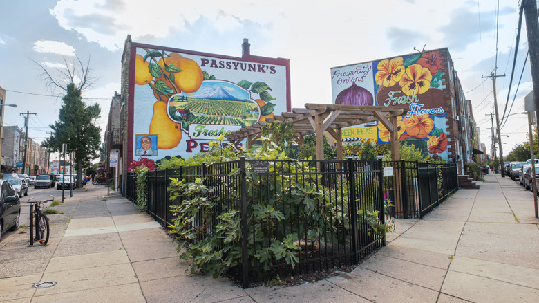 A view of gardens and murals in East Passyunk, Philadephia