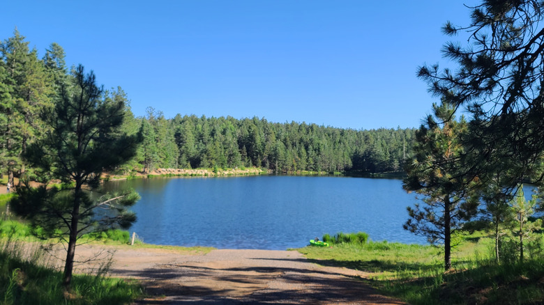 Riggs Lake at Mount Graham in Arizona