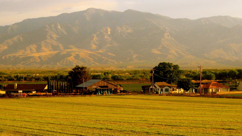 Southern Arizona's 'Sky Island' Is An Overlooked Mountain Peak Rising Above Desert Scenery