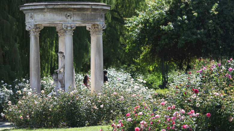 The rose gardens at the Huntington Library