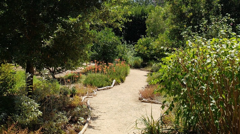 Walking path at El Molino Viejo's garden