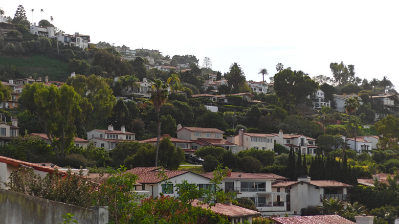 Torrance hillside neighborhood