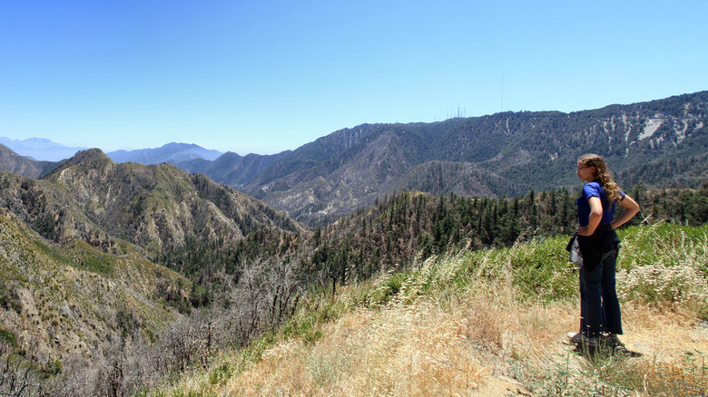 A person standing at a scenic overlook along the Angeles Crest Highway