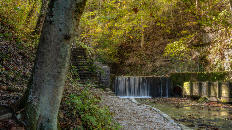 A path at Spring Mill State Park