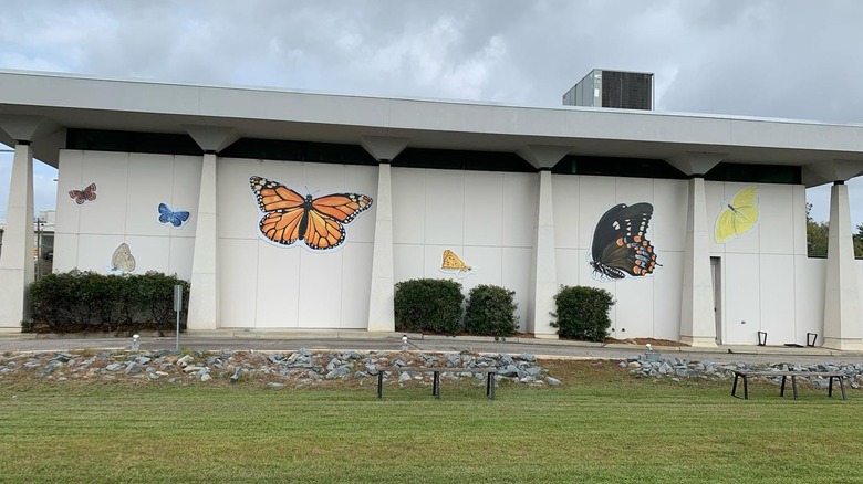 Butterfly murals on the exterior of the NC Museum of Natural Sciences in Whiteville