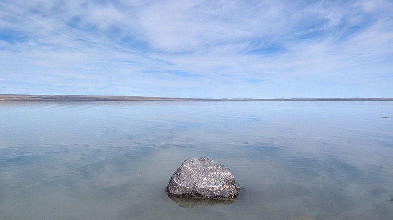 A rock is crusted with salt in Oregon's hypersaline Lake Abert