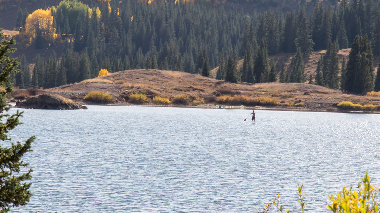 Stand-up paddle boarder on a shiny lake