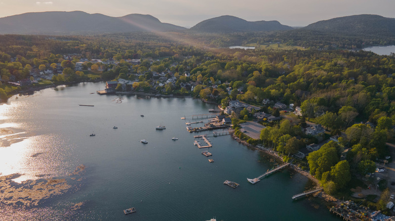 A variety of boats, from small fishing boats to large sailboats, line the docks in Southwest Harbor.