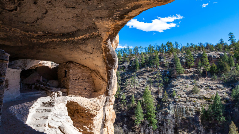 Gila cave dwelling with brick wall and view of forest