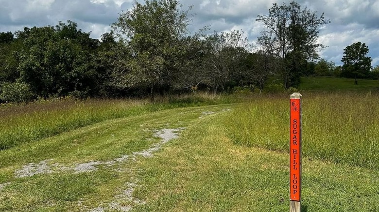 The Sugar Hill Loop Trail
