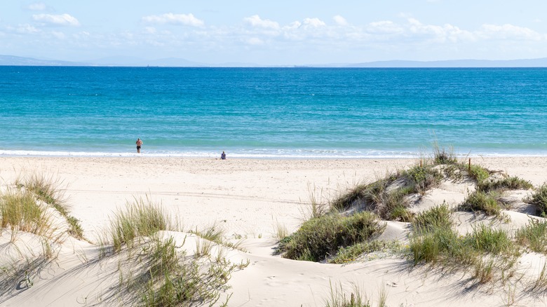 Bolonia Beach in Cadiz, Spain