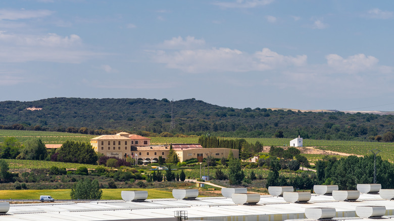 Hotel Torremilanos, a hotel in Ribera del Duero wine region