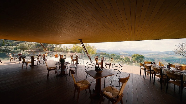 LA Almazara's cafe overlooks an olive grove and Ronda's forested hills