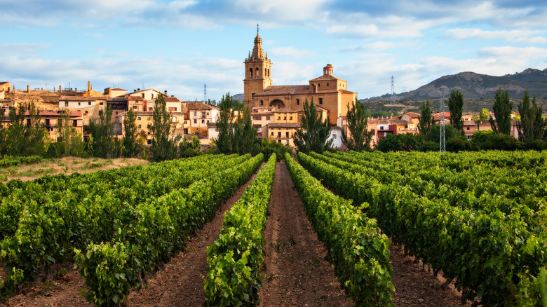 vineyards surrounding the village of Briones in La Rioja, Spain