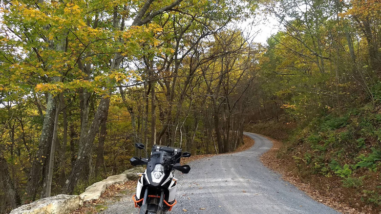 A winding road lined with trees and a motorcycle in Buchanan State Forest.