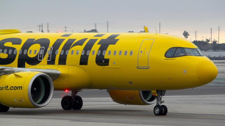 Spirit Airlines plane at the airport